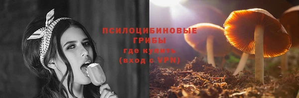 спайс Алзамай