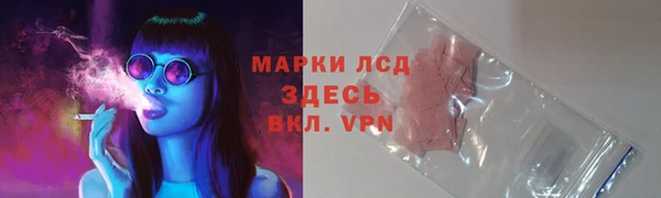 спайс Алзамай