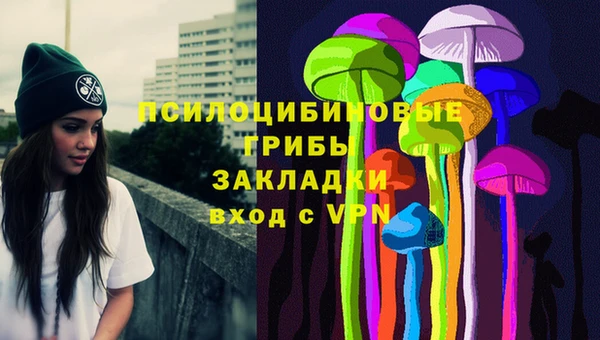 спайс Алзамай