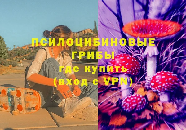не бодяженный Алексин
