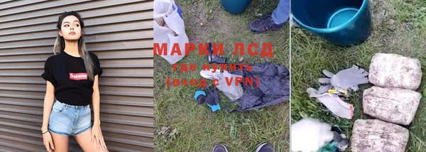 спайс Алзамай