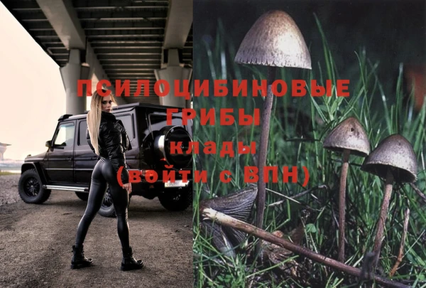 не бодяженный Алексин
